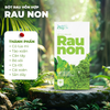  Bột Rau Non Tổng Hợp 90g 