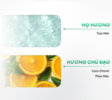  Dầu gội sạch gàu Dandruff Defense & Scalp Care Shampoo 250ml 