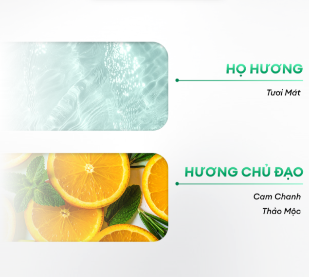  Dầu gội sạch gàu Dandruff Defense & Scalp Care Shampoo 250ml 