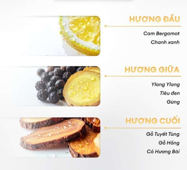  Sữa tắm sạch khuẩn, khử mùi công nghệ Ion Bạc hương tinh dầu thiên nhiên 