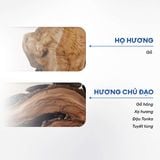  Sữa tắm gội 2in1 Adventurer 250ml 