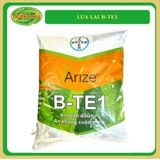  B-TE1 - Giống lúa lai F1 (5 kg) 