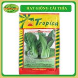  Cải thìa (cải chíp) Tropica (20g) 