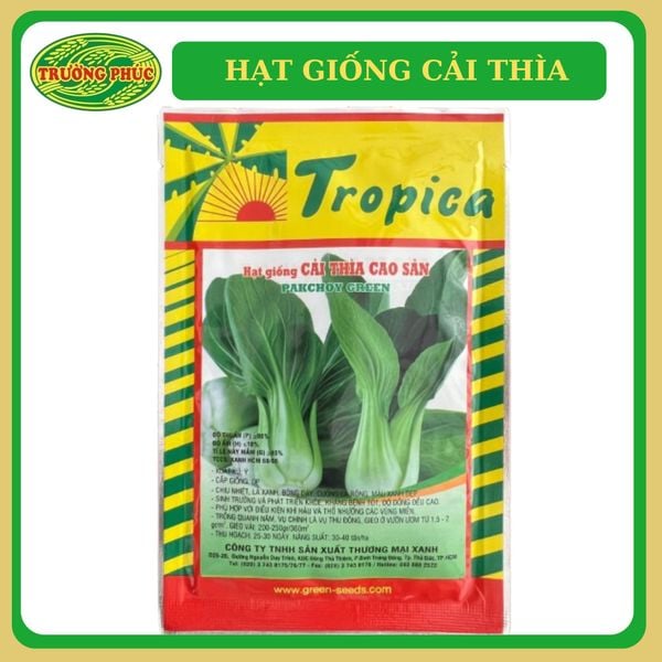  Cải thìa (cải chíp) Tropica (20g) 
