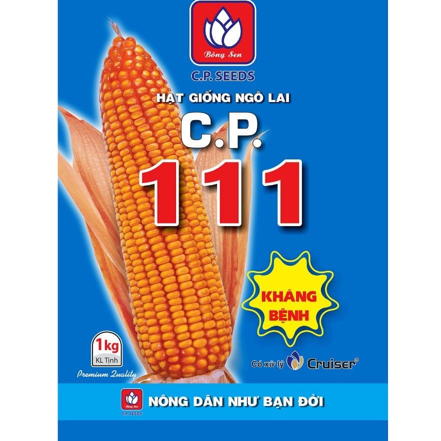  CP 111 - Ngô ( bắp ) lai F1 (1 kg) 