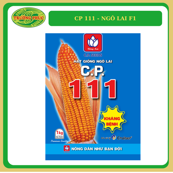  CP 111 - Ngô ( bắp ) lai F1 (1 kg) 