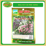  Hoa nút áo nhiều màu (50mg) 