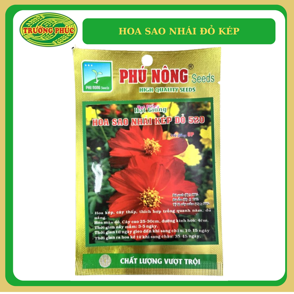  Hoa sao nhái đỏ kép (15 hạt) 
