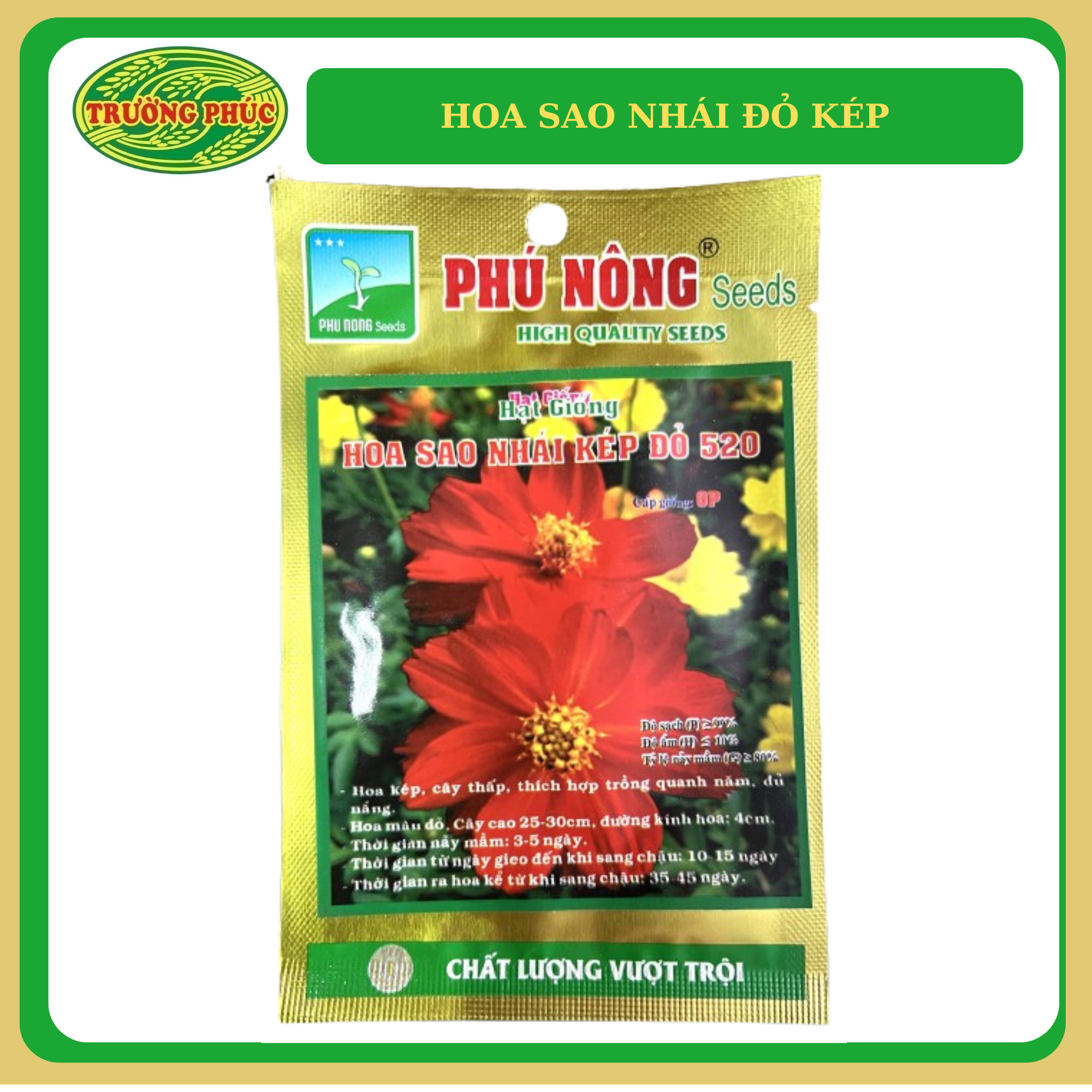  Hoa sao nhái đỏ kép (15 hạt) 