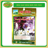  Hoa sao nhái đơn mix màu (10 hạt) 