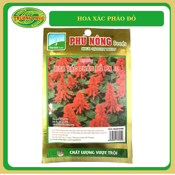  Hoa xác pháo đỏ (300 mg) 
