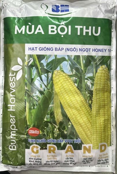  Honey 10 - Ngô ngọt (Ngô Mỹ) ( bắp) (500g/1kg) 