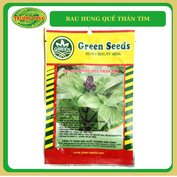  Rau húng quế thân tím (5g) 