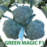  Súp lơ xanh Green Magic Sakata (10g) 