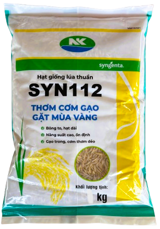  SYN112 - Giống lúa thuần 