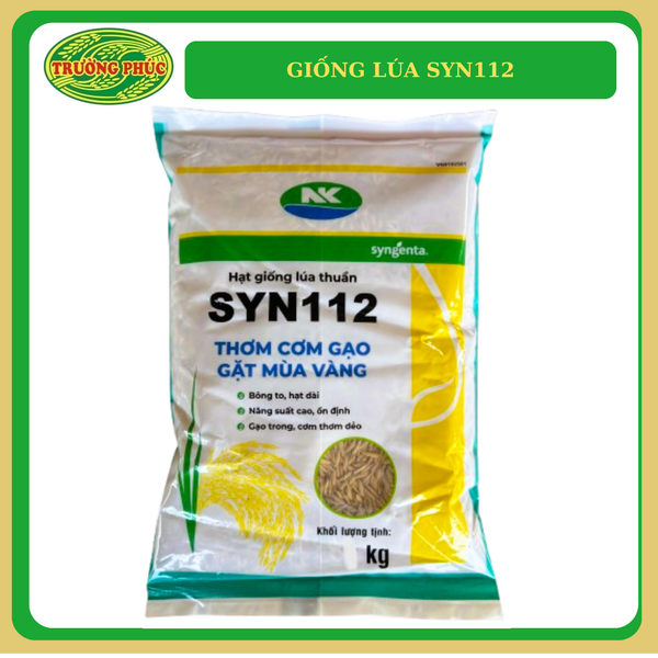  SYN112 - Giống lúa thuần 