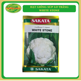  Súp lơ trắng White Stone Sakata 