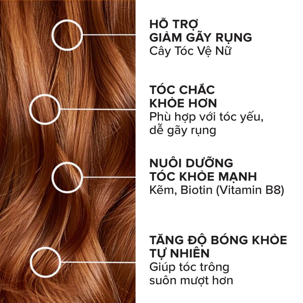 Viên uống mọc tóc, giảm rụng tóc Biotin Pháp Arkopharma dưỡng nang tóc, tóc chắc khoẻ-TPBVSK Forcapil Antichute 30v