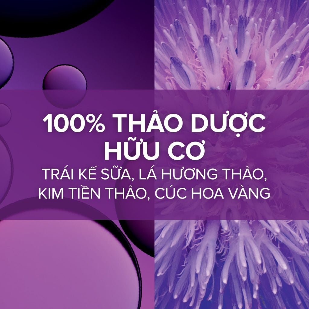 Nước uống giải độc gan Pháp Arkopharma giúp thải độc gan detox gan - TPBVSK Arkofluides Detoxifiant Hepatiqua (20 ống)