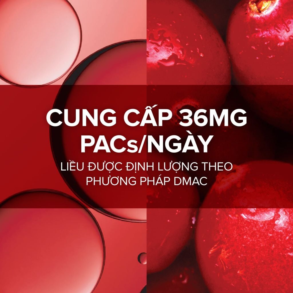 Gói uống hỗ trợ đường tiết niệu Pháp Arkopharma giúp giảm viêm đường tiết niệu-TPBVSK Cys-Control Canneberge (20 gói)