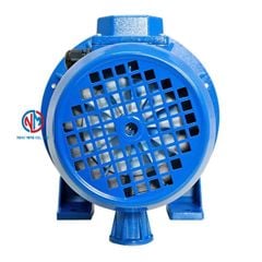 Máy Bơm Ebara Model CDX