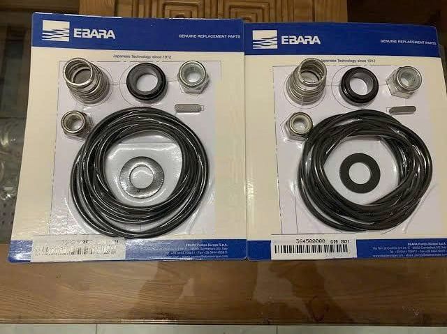 Phớt bơm trục ngang Ebara 3D-3M-CDX-DWO