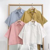  Áo SM cotton ngắn 2010 