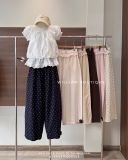 Quần vải lưng bèo 3069 