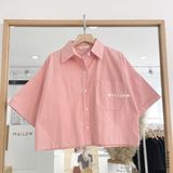  Áo SM cotton ngắn 2010 