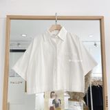  Áo SM cotton ngắn 2010 