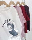  Áo thun oversize CAT 8113 