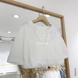  Áo len cặp bo eo 9919 