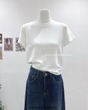  Áo thun trơn form vừa 3000 