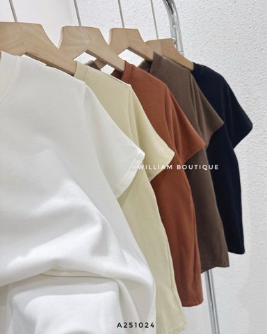  Áo thun trơn form vừa 3000 