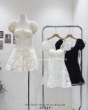  Đầm ren ngắn Farah 0954 