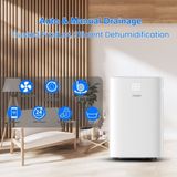  Máy hút ẩm Steiger STG-836DW 36 Lít/ ngày 