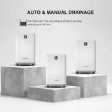  Máy hút ẩm Steiger STG-860DW 60 Lít/ ngày 