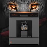  Máy rửa bát Junger 12 bộ Leopard DWJ-103 