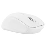  Chuột Không Dây TARGUS W605 (Adjustable DPI, Up to 1600 DPI, 2.4GHz) 