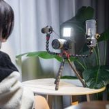  Ulanzi MT-11 Octopus Flexible Tripod For Gopro Camera Phone SLR DSLR Tripod Extend 1/4'' Screw With Ballhead ColdShoe Phone Clip 