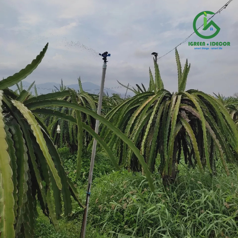 Béc cánh đập BB904-VAN ren ngoài 21 IGreen