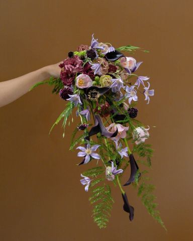  Violet Muse 