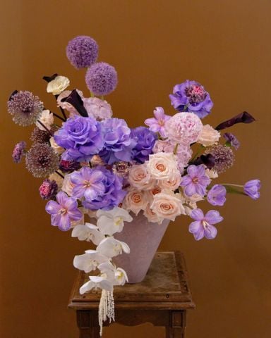  Cozy Purple 