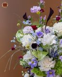  The Age of Innocence 