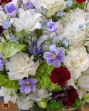  The Age of Innocence 