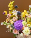  Gentle Grace 