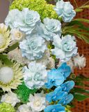  Azure Celebration 