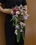  Violet Muse 