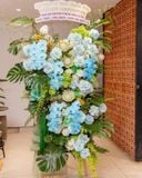  Azure Celebration 