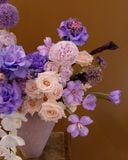  Cozy Purple 